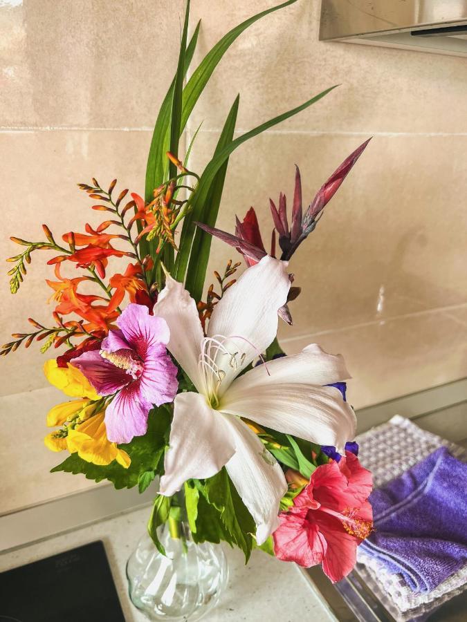Sun-Soaked Apt W Patio, Balcony & Garden - Aguilas La Orotava Extérieur photo